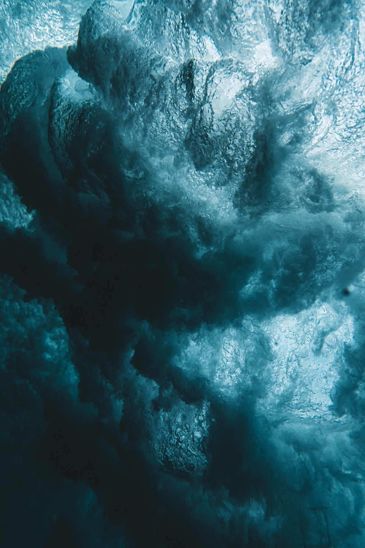 Single Fin collab — frame 2