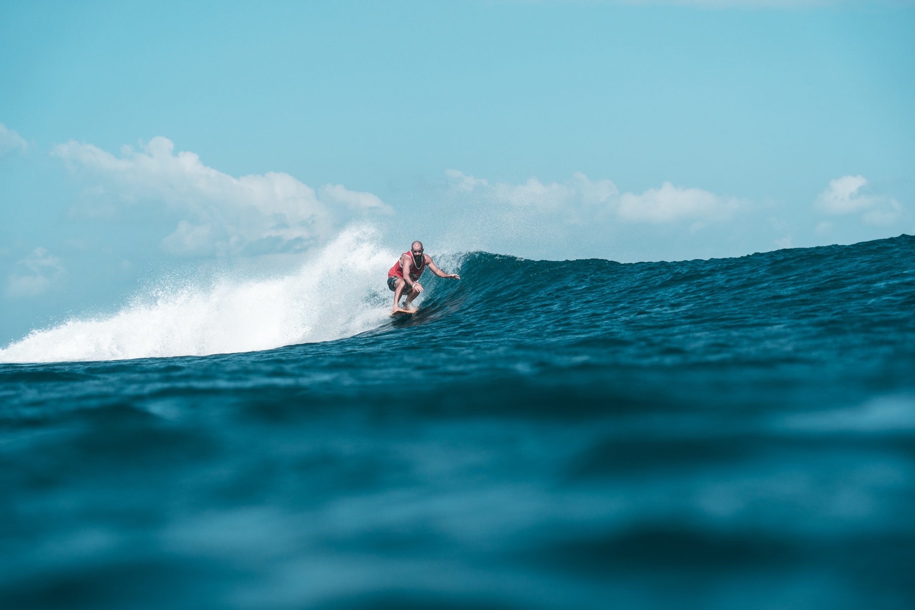 Single Fin collab — frame 10