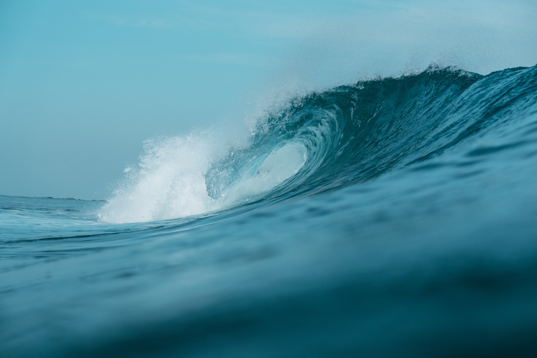 Single Fin collab — frame 24