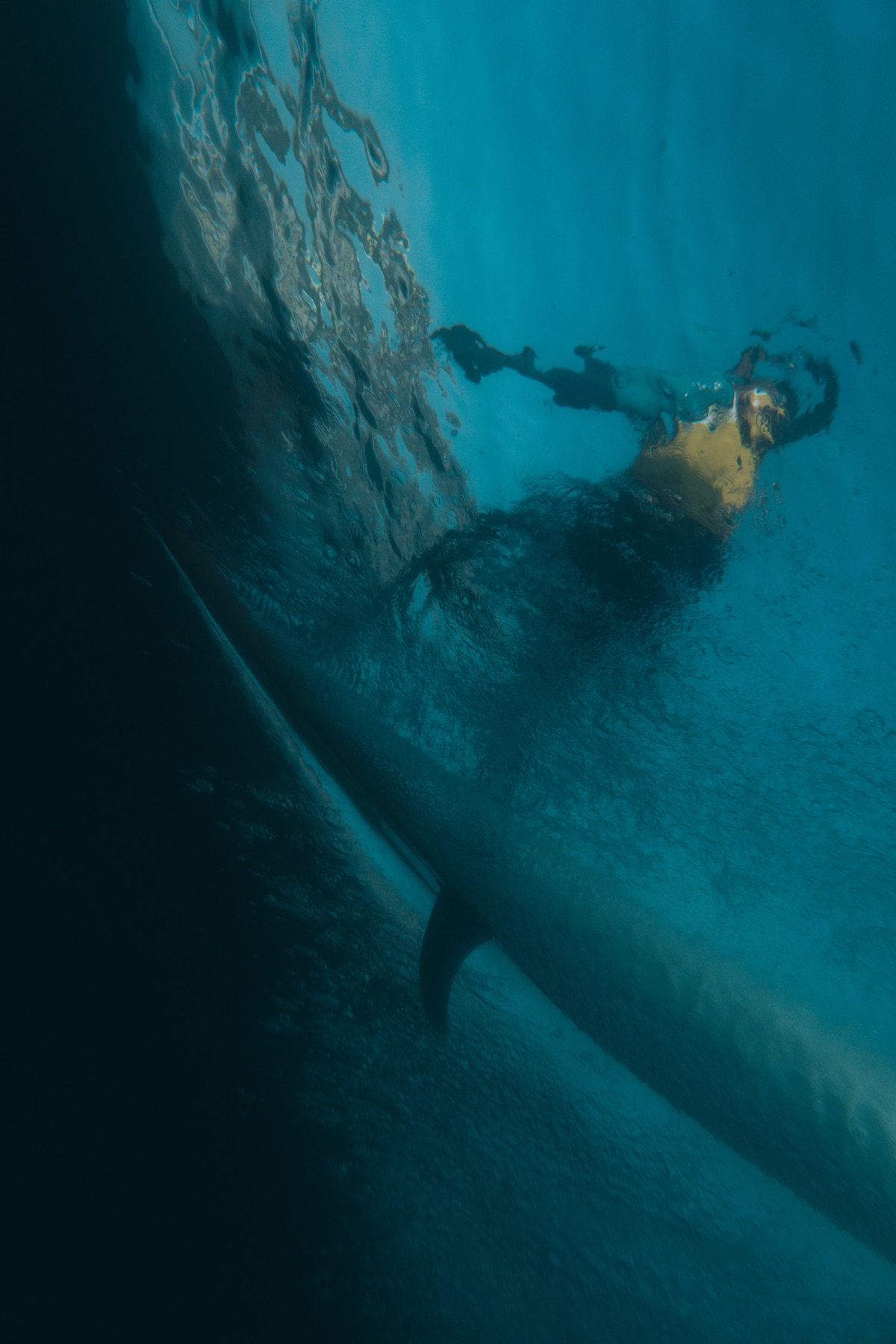 Single Fin collab — frame 32