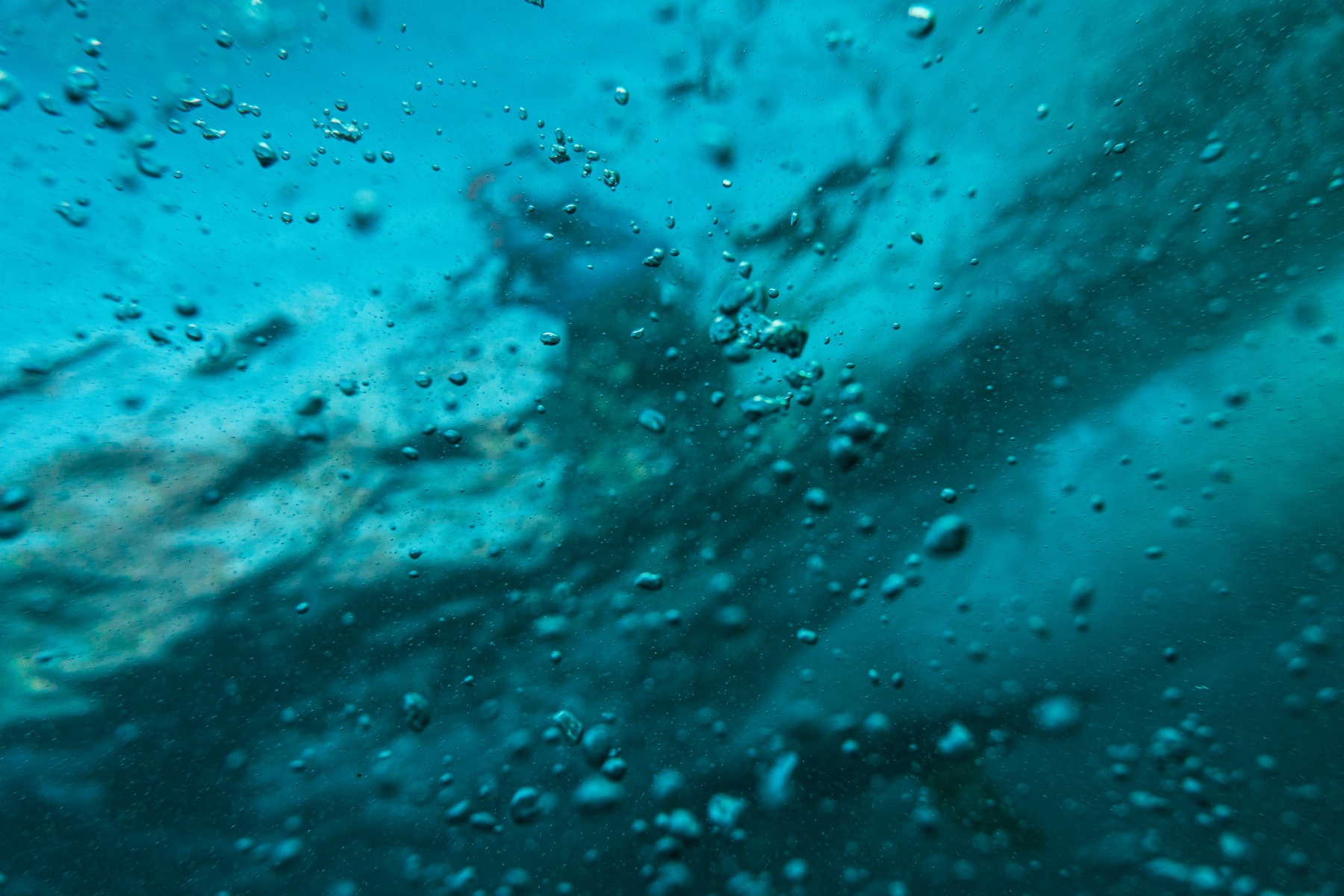 Single Fin collab — frame 34